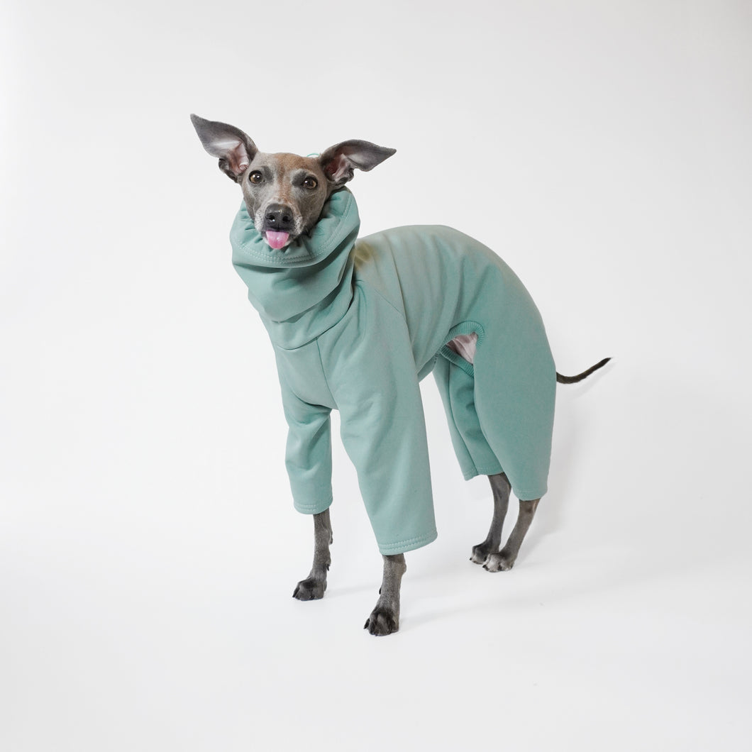 Italian greyhound and whippet sage waterproof dog coat by LE PUP