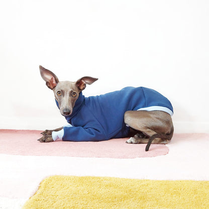 Dog laying down wearing an Italian Greyhound and whippet jumper made from environmentally-friendly oeko-tex sweatshirt by LE PUP.