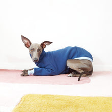 Load image into Gallery viewer, Dog laying down wearing an Italian Greyhound and whippet jumper made from environmentally-friendly oeko-tex sweatshirt by Le Pup
