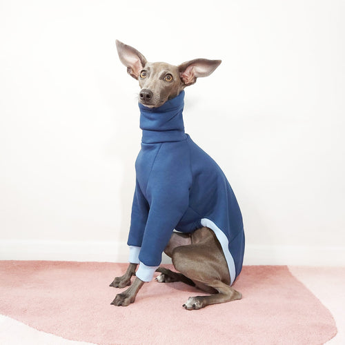 Italian Greyhound and whippet jumper made from sustainable oeko tex sweatshirt by Le Pup