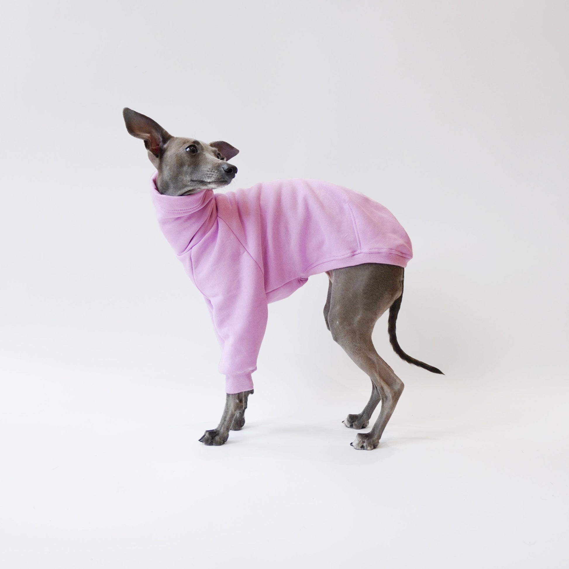 Side Shot of dog wearing Lilac sweatshirt fleece jumper made from eco-friendly/ oeko-tex  friendly materials by LÈ PUP. 