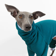 Load image into Gallery viewer, Closeup of a Whippet in a teal and blue dog onesie made from certified materials by LE PUP in London
