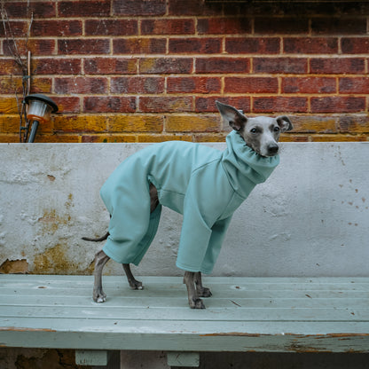 Side view of Italian greyhound puppy in custom fit waterproof rain coat, perfect for all breeds by LE PUP.