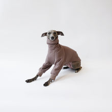 Load image into Gallery viewer, Iggy sitting wearing a LÈ PUP bespoke dog jumper made from eco-friendly oeko tex fleece sweatshirt
