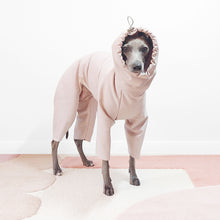 Load image into Gallery viewer, Italian Greyhound wearing a hooded beige waterproof dog rainsuit
