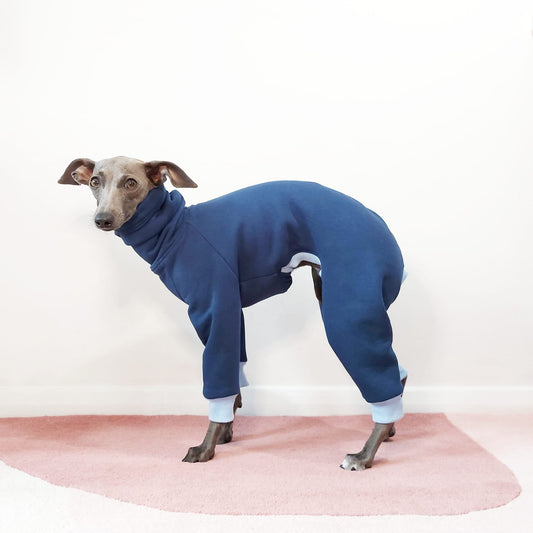 Side view of Italian greyhound dog wearing winter warm sweatshirt onesie by LE PUP