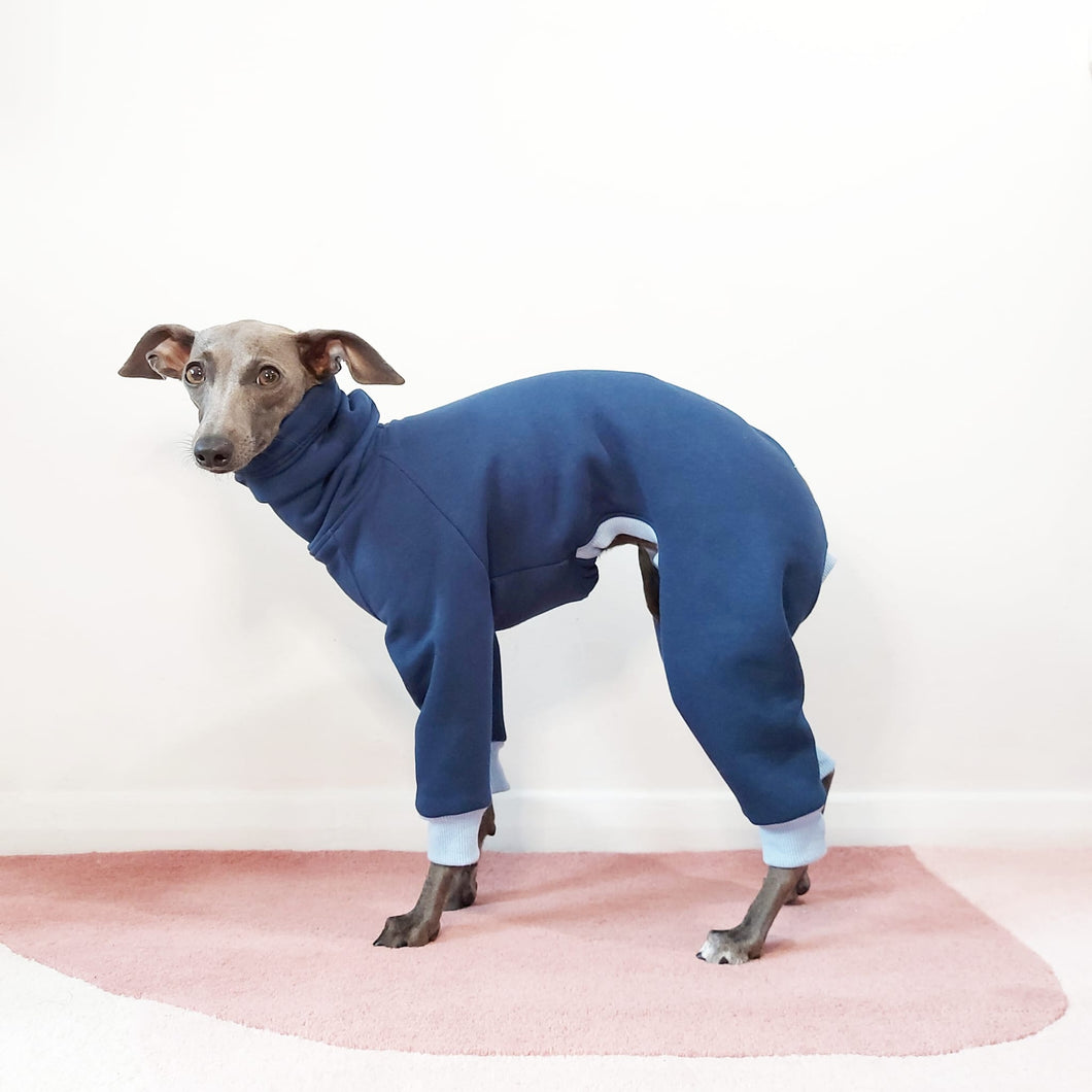 Luxury Italian Greyhound Blue Sweatshirt By Le Pup London