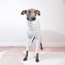 Load image into Gallery viewer, 100% organic cotton dog onesie for Italian Greyhounds and whippets by Le Pup London
