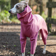 Load image into Gallery viewer, LE PUP Dog Raincoat in dusty pink on a whippet in the forest
