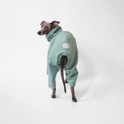 Back view of cute Italian greyhound wearing a perfectly-fitted softshell sage dog raincoat by LE PUP.