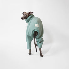 Load image into Gallery viewer, Cute Italian greyhound wearing a perfectly-fitted softshell sage dog raincoat by Le Pup
