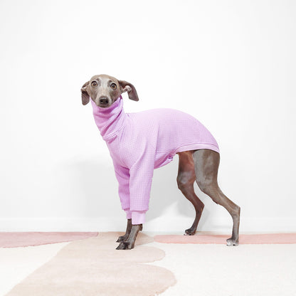 Side shot of Italian greyhound wearing lilac chic dog tee with long neck by LE PUP.