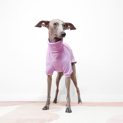 Cute whippet wearing stylish LÈ PUP lilac dog clothing