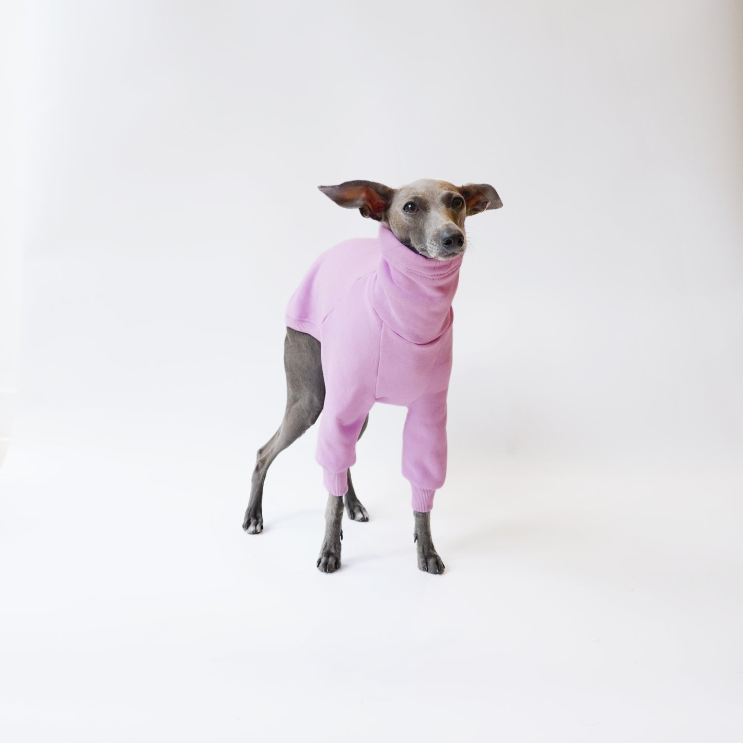 Front Shot of Lilac fleece jumper for sighthounds made from eco-friendly oeko-tex fleece sweatshirt by LÈ PUP. 