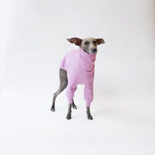 Load image into Gallery viewer, Lilac fleece jumper for sighthounds made from eco-friendly oeko-tex fleece sweatshirt by LÈ PUP
