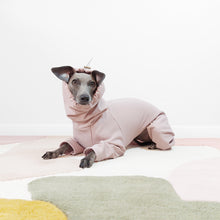 Load image into Gallery viewer, Italian Greyhound laying down wearing a hooded beige waterproof dog rain coat for dogs
