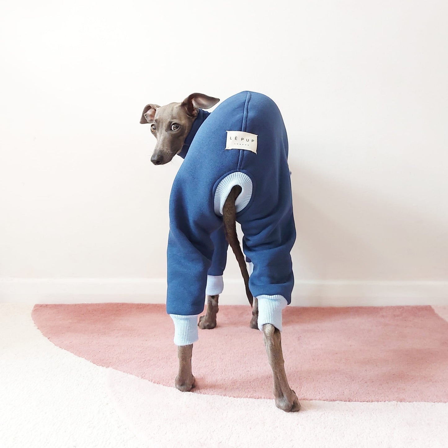 Sustainable Oeko-Tex Italian greyhound and whippet dog sweatshirt by Le Pup