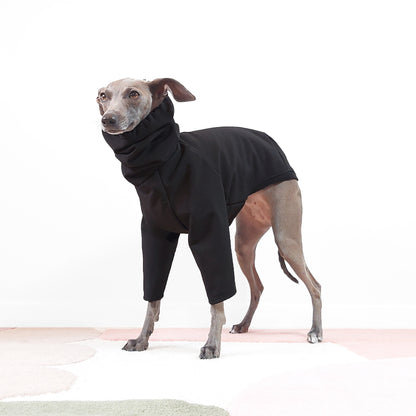 Side Profile Standing Shot of Cute Italian greyhound and whippet wearing black waterproof raincoat with collar hole by LE PUP. S