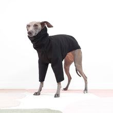 Load image into Gallery viewer, Cute iggy wearing an Italian greyhound and whippet waterproof coat with collar hole by LE PUP
