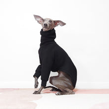 Load image into Gallery viewer, MOCHI Dog Jumper by LE PUP Made From Eco-friendly OEKO-TEX Sweatshirt
