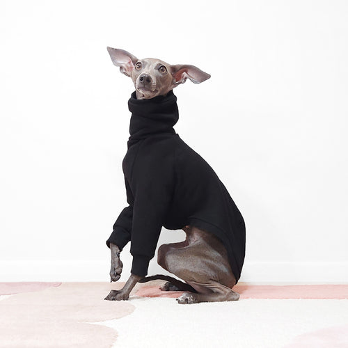 MOCHI Dog Jumper by LE PUP Made From Eco-friendly OEKO-TEX Sweatshirt