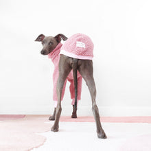 Load image into Gallery viewer, Photo from behind of an Italian greyhound wearing soft and fluffy sherpa fleece jumper by Le Pup
