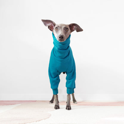 Eco-Friendly Italian Greyhound And Whippet Oeko-Tex Teal Dog Onesie by Le Pup