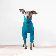 Load image into Gallery viewer, Eco-Friendly Italian Greyhound And Whippet Oeko-Tex Teal Dog Onesie by Le Pup
