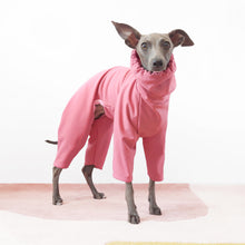 Load image into Gallery viewer, Italian greyhound and whippet waterproof dog rain coat with legs by Le Pup
