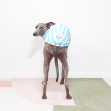 Load image into Gallery viewer, SAGO - Dog T-Shirt
