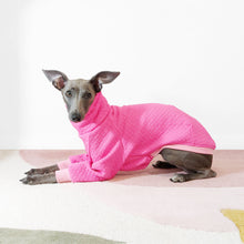 Load image into Gallery viewer, Cute pink jacquard dog jumper by Le Pup London
