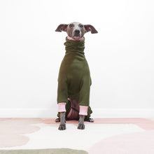 Load image into Gallery viewer, Italian Greyhound Sitting In A Bespoke Olive And Pink Le Pup Dog Outfit
