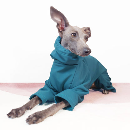 Italian Greyhound wearing waterproof and quick drying teal rainsuit for dogs by LE PUP.