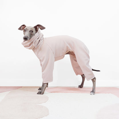 Whippet wearing a softshell beige whippet raincoat by Le Pup