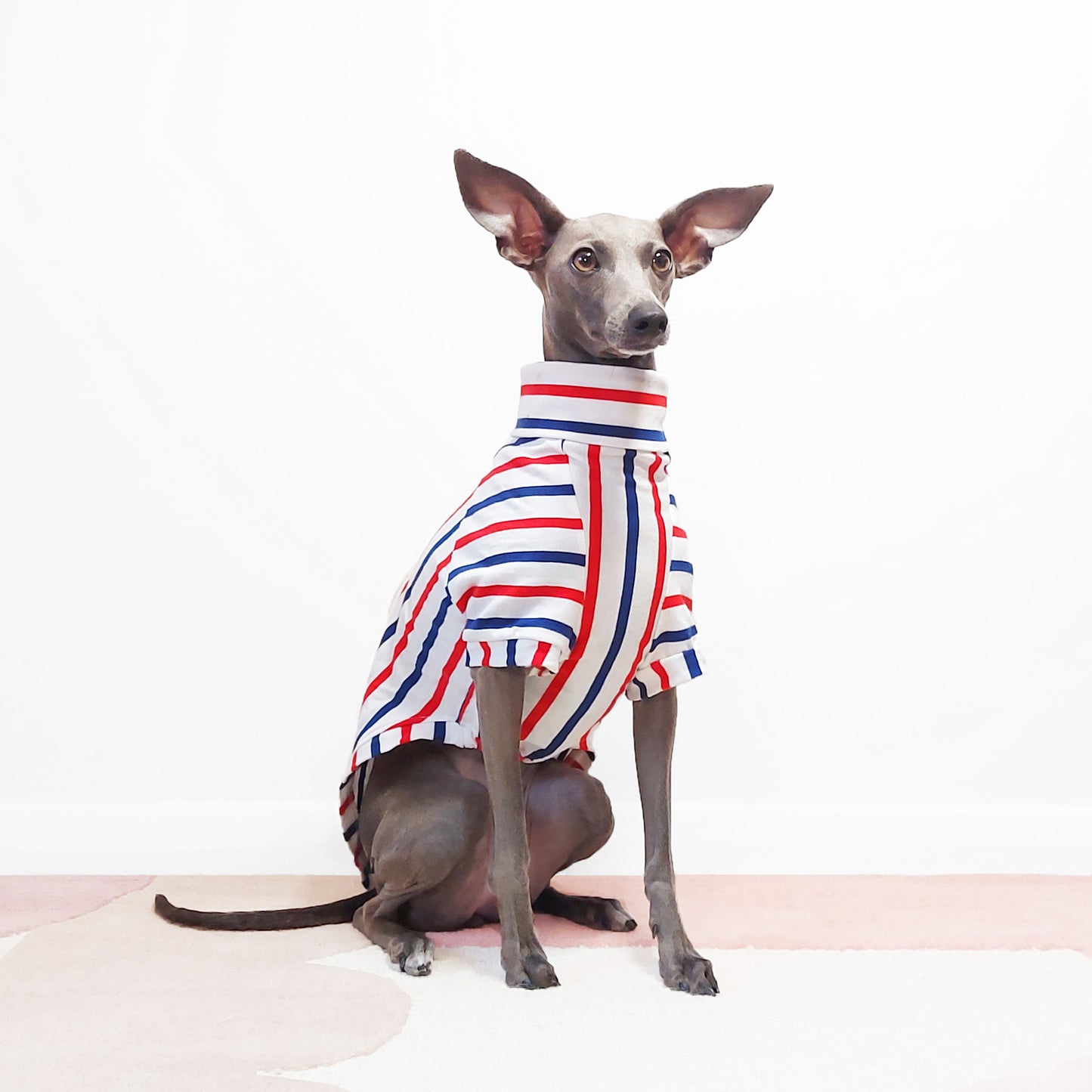Truffle, LÈ PUP handmade sighthound jumper made from 100% organic cotton