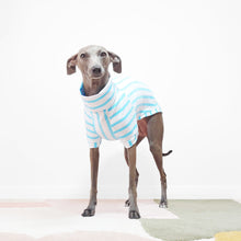 Load image into Gallery viewer, Mock neck short sleeve blue stripe organic cotton dog jumper by Le Pup
