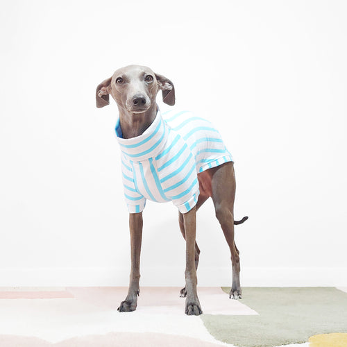 Mock neck short sleeve blue stripe organic cotton dog jumper by Le Pup