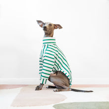 Load image into Gallery viewer, Turtle neck short sleeve green stripe organic cotton dog jumper by Le Pup
