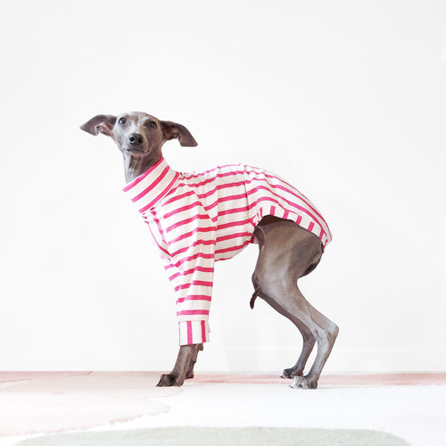Turtle neck pink stripe organic cotton dog jumper by Le Pup