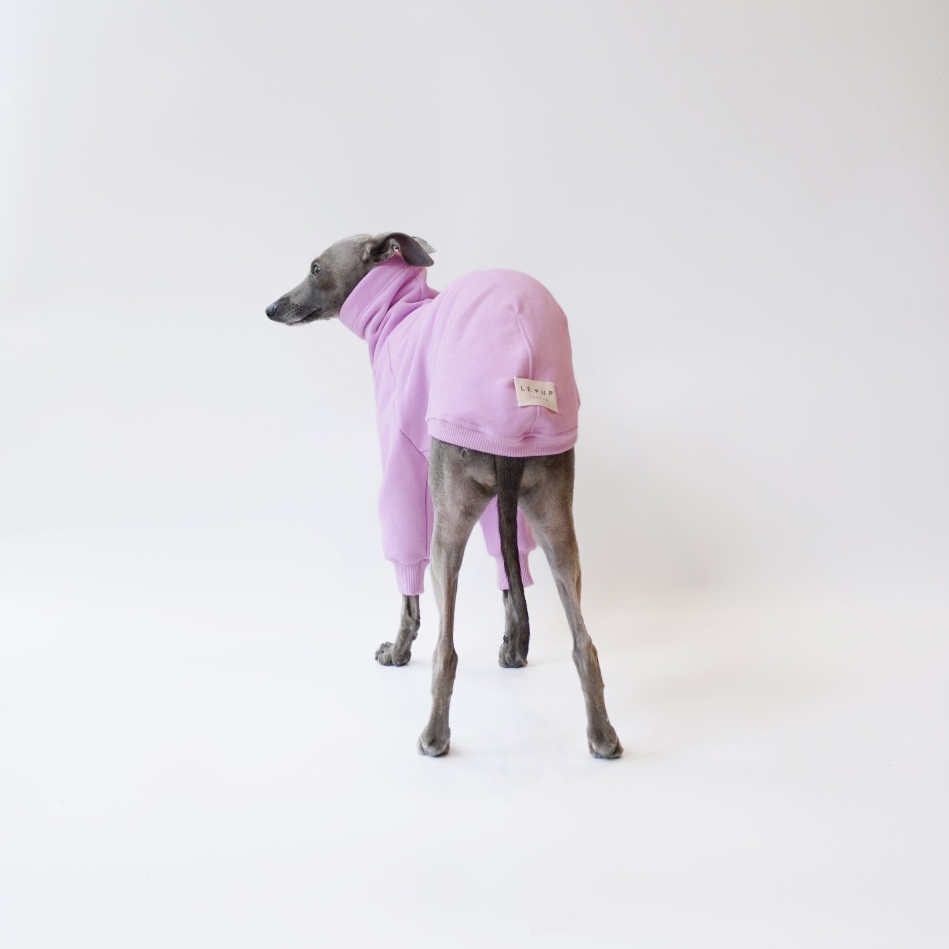 Back Shot of Iggy and Whippet wearing lilac fleece jumper for dogs made from eco-friendly Oeko-Tex fleece by LÈ PUP in London. 