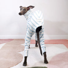 Load image into Gallery viewer, Cute Italian Greyhound wearing 100% organic cotton dog onesie by Le Pup London
