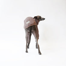 Load image into Gallery viewer, Italian Greyhound standing in a Cappuccino LÈ PUP dog jumper made from sustainable oeko tex fleece-lined sweatshirt material

