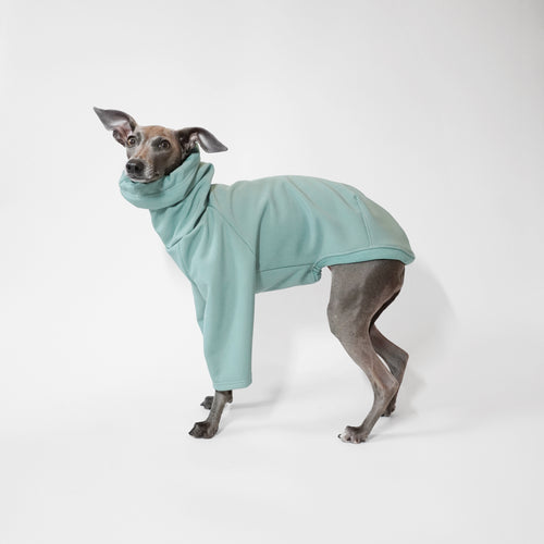 Whippet standing in a Sage LE PUP waterproof raincoat