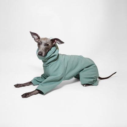 Italian Greyhound wearing a hooded sage waterproof dog rain coat by LE PUP.