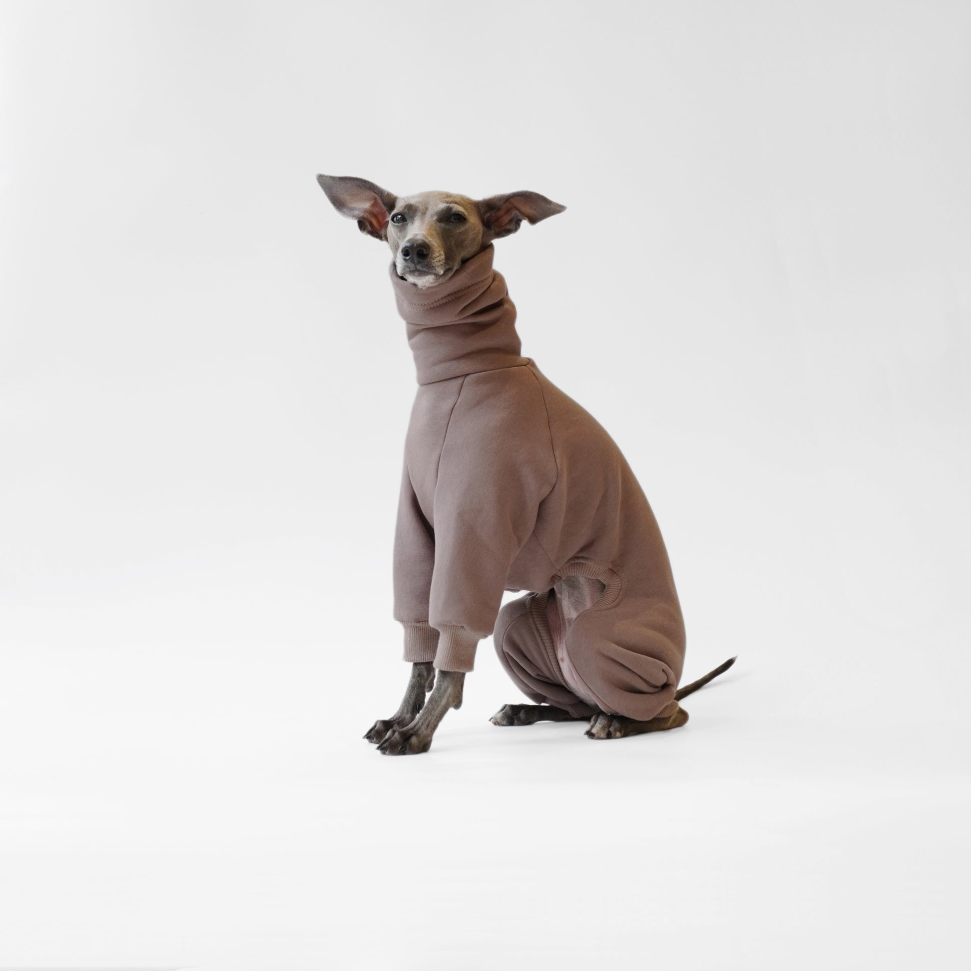 Italian greyhound wearing made to measure sweatshirt dog onesie by LE PUP.