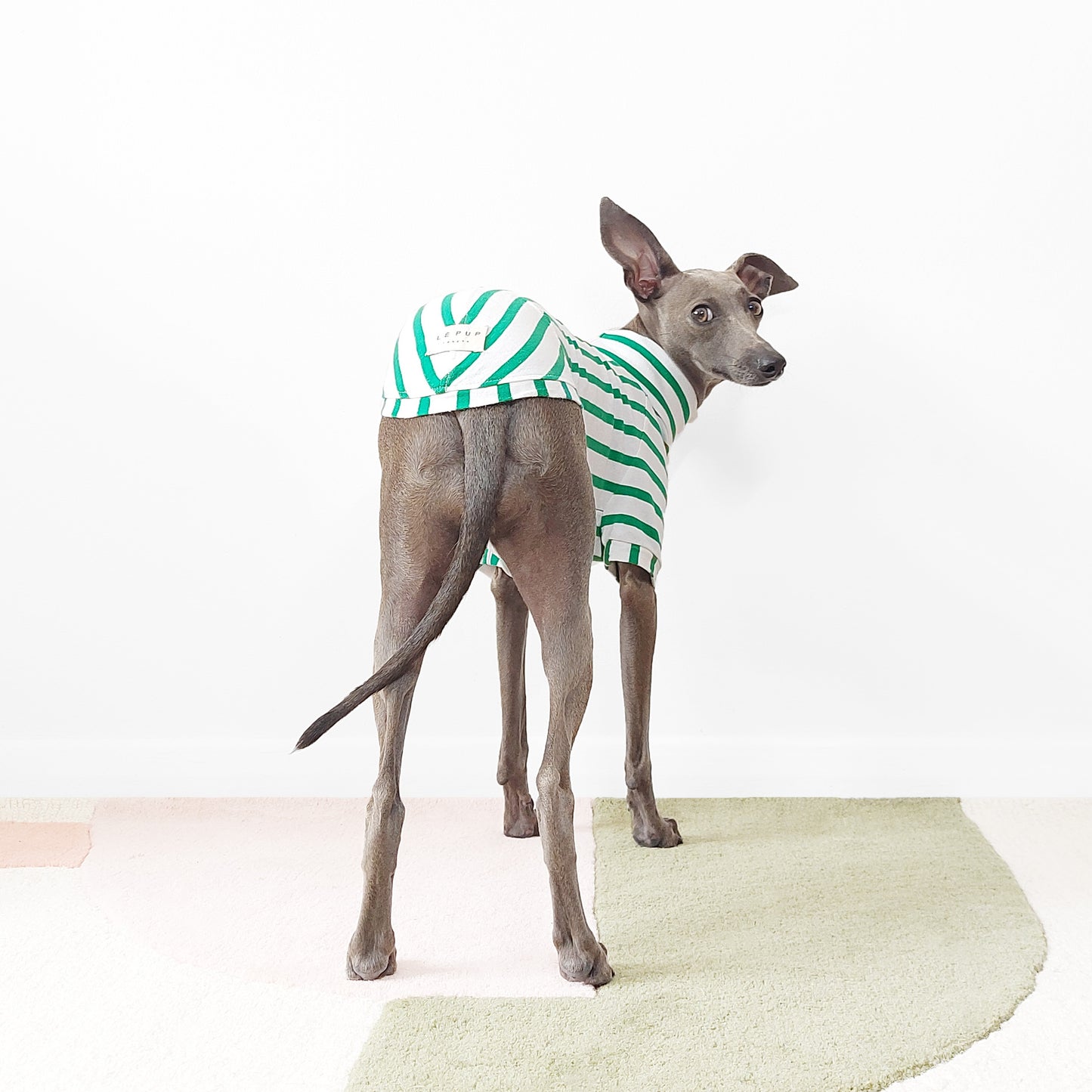 PETIT POIS - Organic Dog T-Shirt (GOTS)