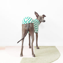 Load image into Gallery viewer, PETIT POIS - Dog T-Shirt
