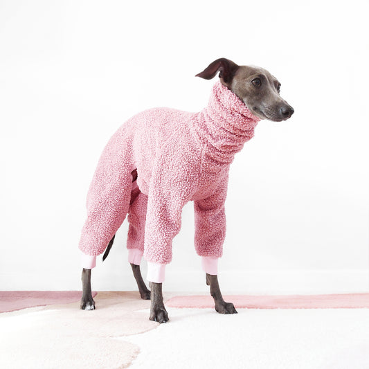 Italian greyhound wearing pink soft and fluffy sherpa fleece onesie by LE PUP.