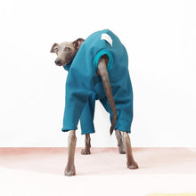 Load image into Gallery viewer, Italian Greyhound wearing teal rainsuit for dogs by Le Pup
