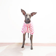 Load image into Gallery viewer, Mock neck short sleeve organic cotton pink dog jumper by Le Pup
